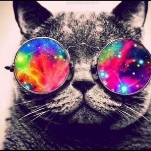 Meet your Posher, Jan